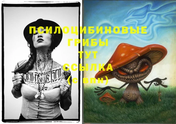 амф Абинск