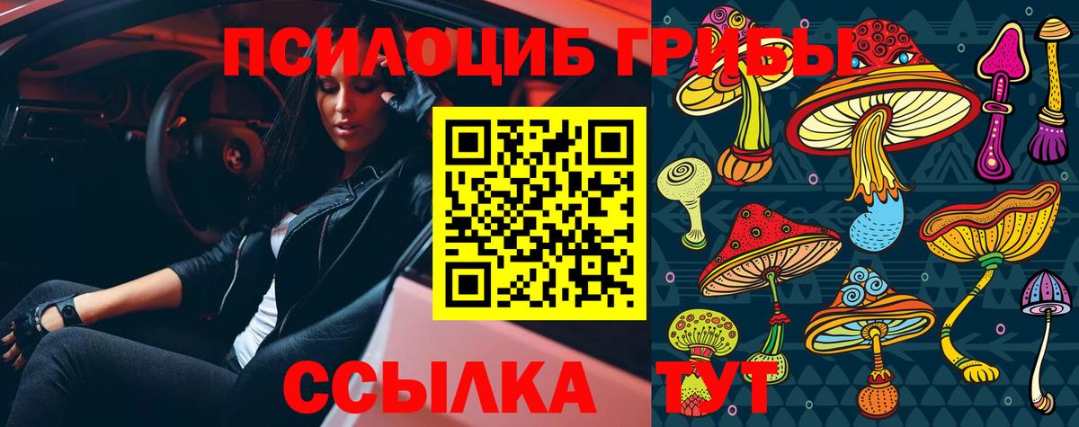Галлюциногенные грибы Cubensis  купить закладку  Кизилюрт  Псилоцибиновые грибы Cubensis  Вход с VPN 