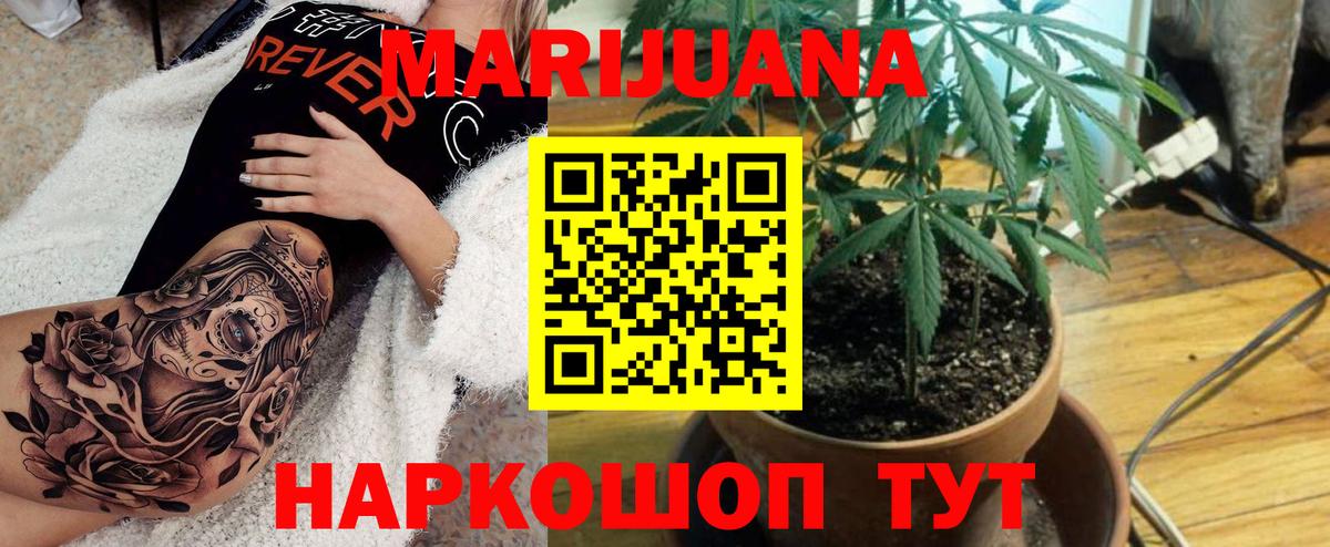 Каннабис конопля Кизилюрт